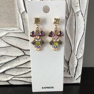 Express Earrings